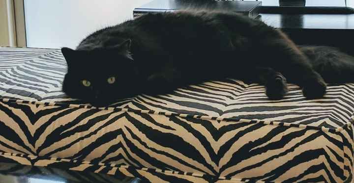 KWR-sharing some cuteness today.