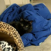 Intro and NWR gift question