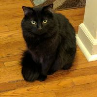 Intro and NWR gift question