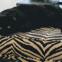 KWR-sharing some cuteness today.