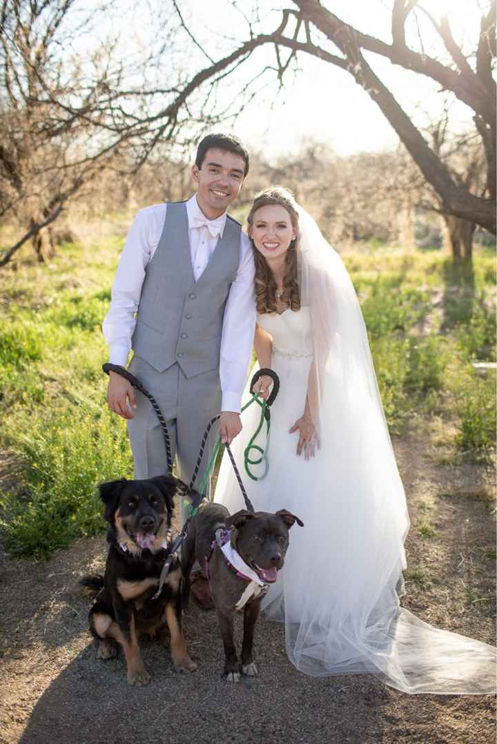Is it Normal to Be Sad After Wedding?? - 2