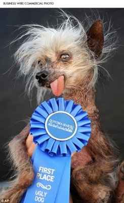 It's funny photo time!