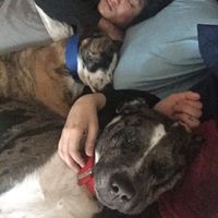 NWR- Traditions with FH