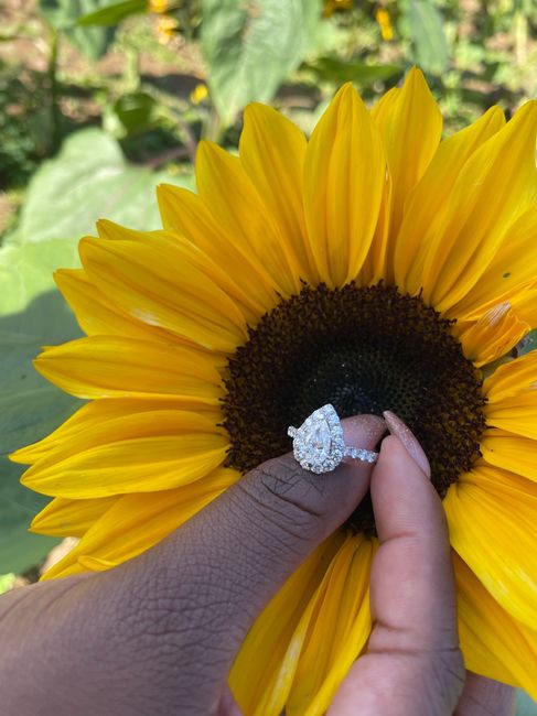 Couples getting married on June 10, 2023 1