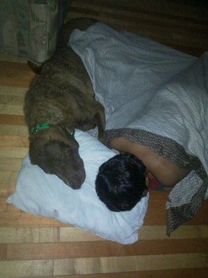 *NWR* Show me your pets/animals! *PICS*