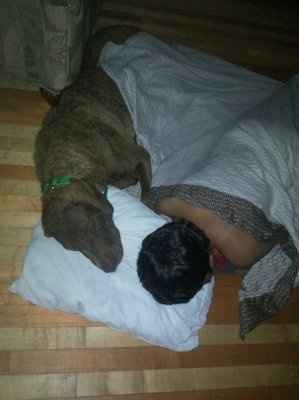 *NWR* Show me your pets/animals! *PICS*