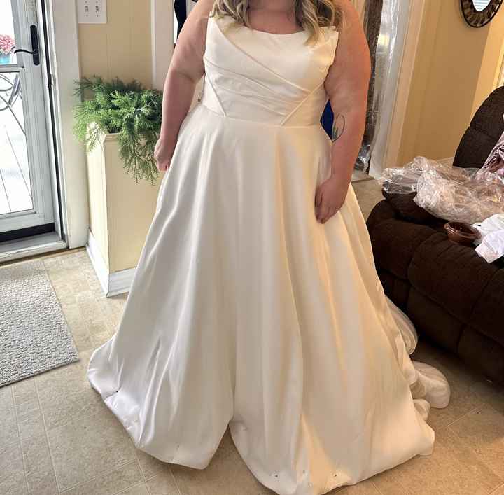 Wedding Dress Woes - 1