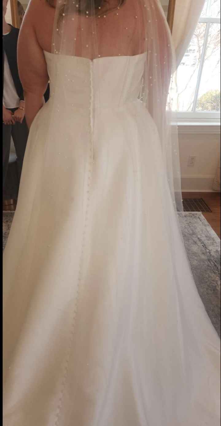 Wedding Dress Woes - 2