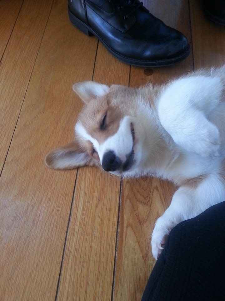 How much time are you giving yourselves after the wedding before babies?