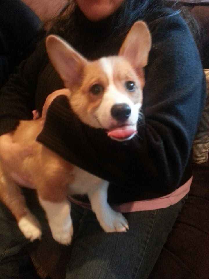 NWR: Fantasy Wish Lists/ Small rant