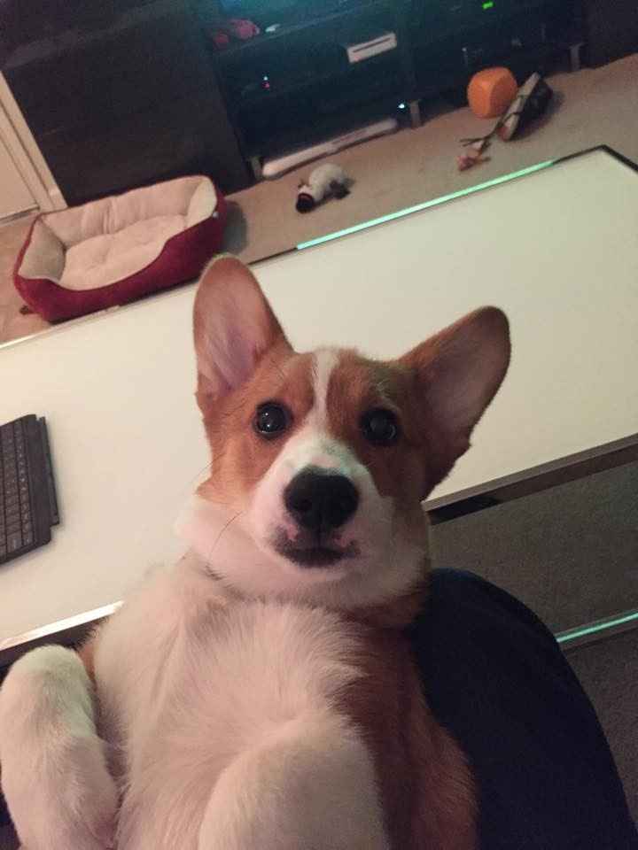 NWR: Fantasy Wish Lists/ Small rant