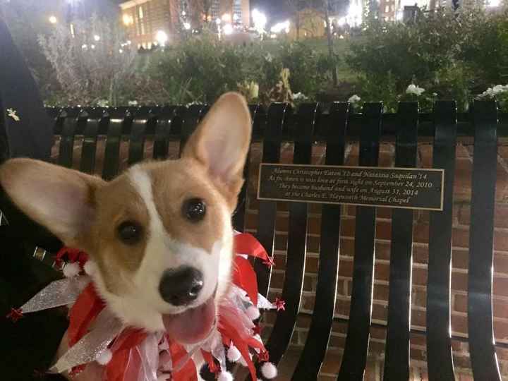 NWR.......FUR BABIES!!!!