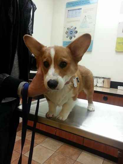 KWR- I need some porn in my Friday..