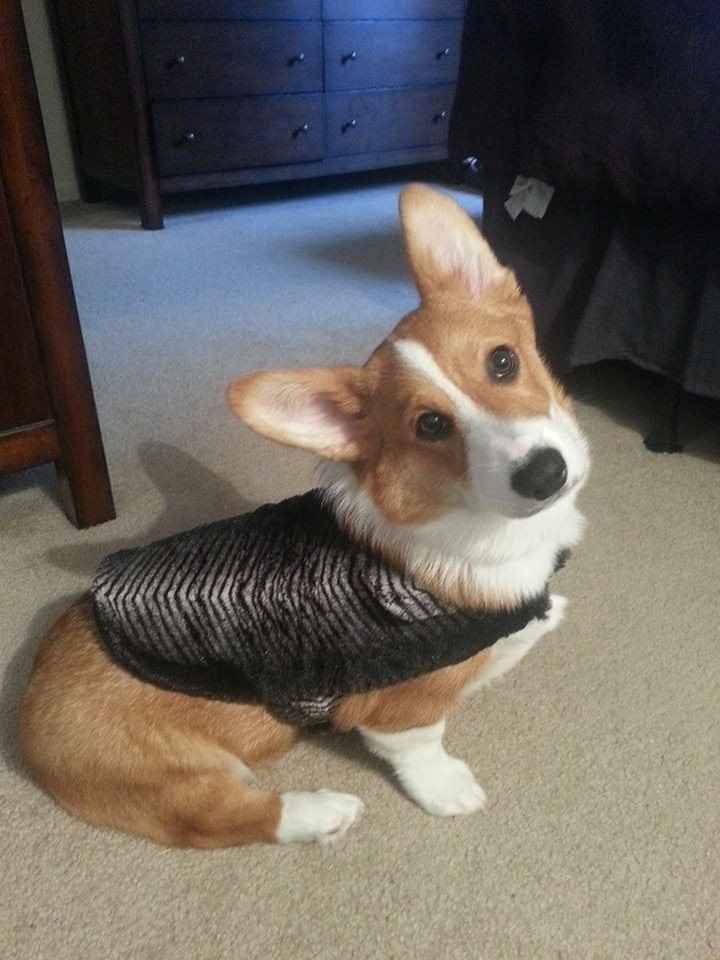 KWR- I need some porn in my Friday..