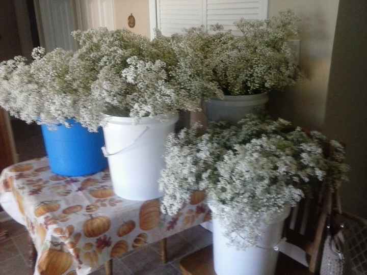10 Ways to Use Babys Breath - Blooms By The Box