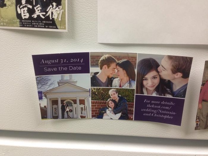 Wedding Website Insert for STDs