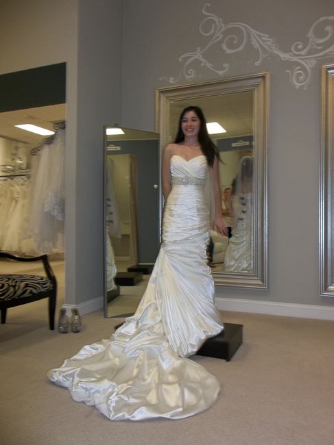 Dressilyme yay or nay?