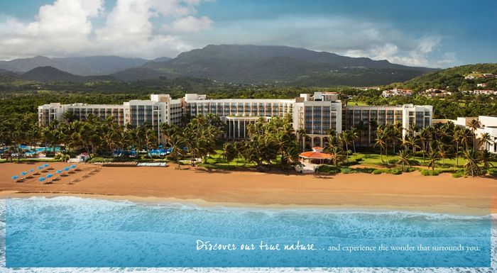 Affordable Honeymoon