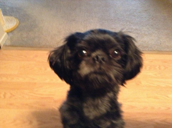NWR: Lets talk pets.