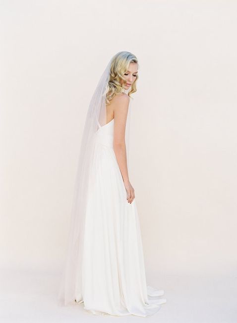 Veil that compliments my gown (Picture attached!!)