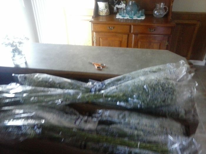 Costco flowers