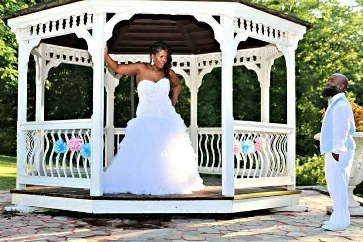 Professional pictures are back