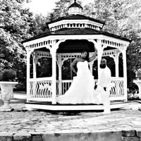 Professional pictures are back