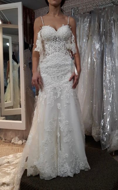Mermaid Dress Arrived & Looks Very Different - Advice/opinions Please 3