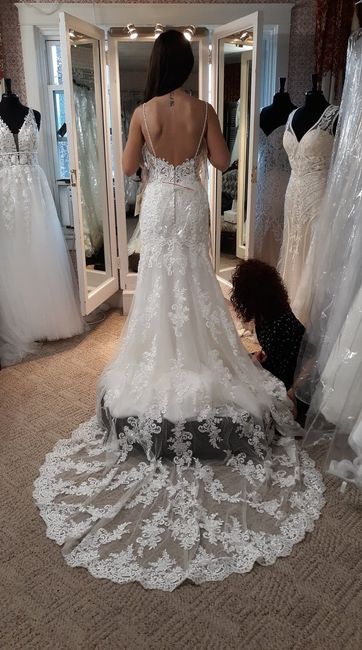 Mermaid Dress Arrived & Looks Very Different - Advice/opinions Please 4