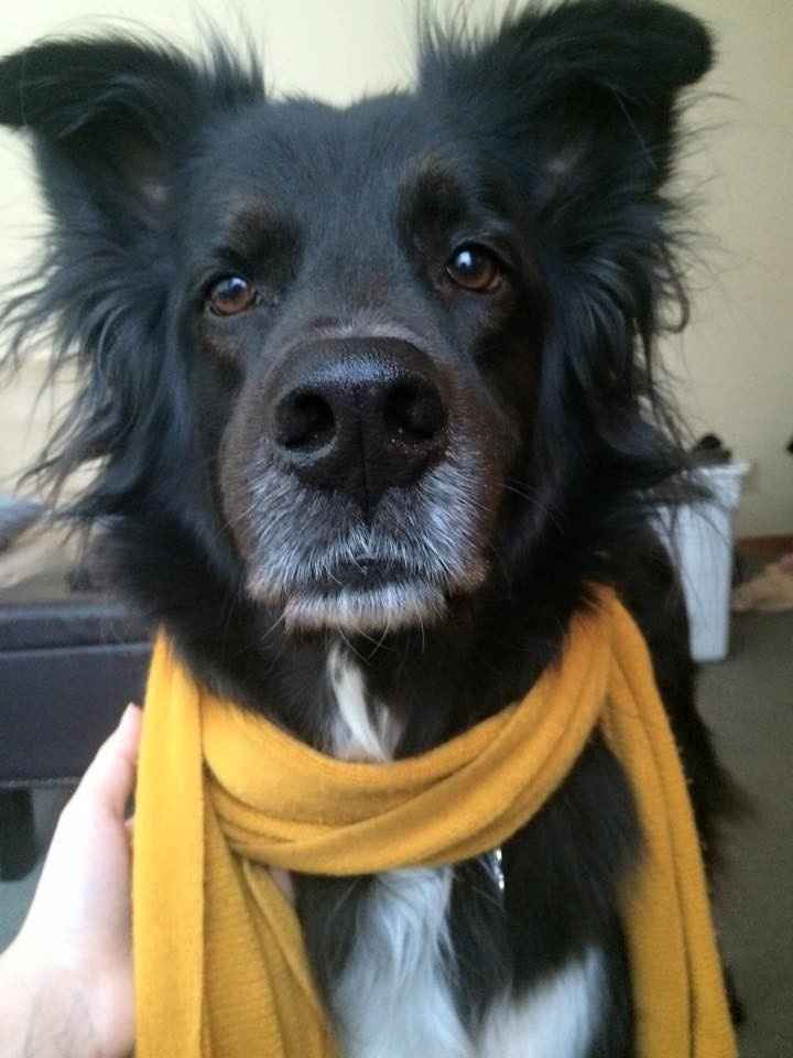 NWR: #wearyellowforseth
