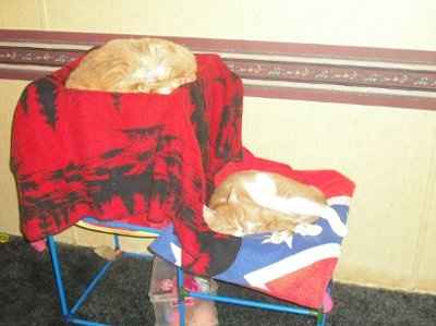 NWR... my cats.. do you have any pets?