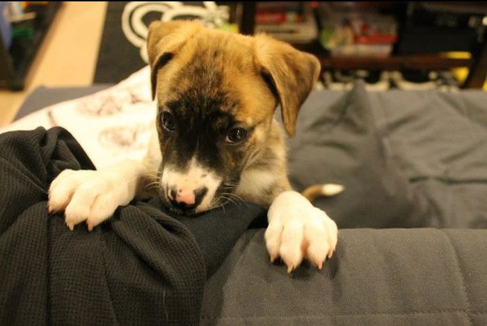 NWR: Emergency Cute