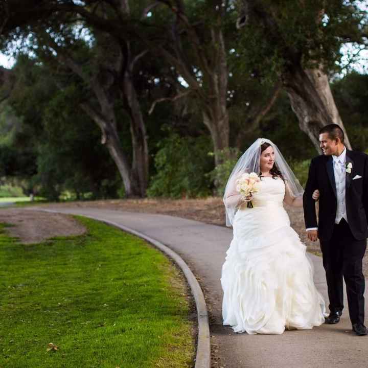 Plus size wedding dresses besides David's bridal???