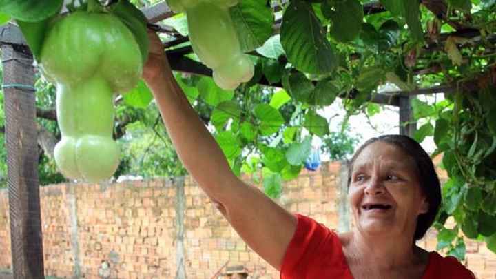 NSFW/NWR: Veggie Peen!!!!