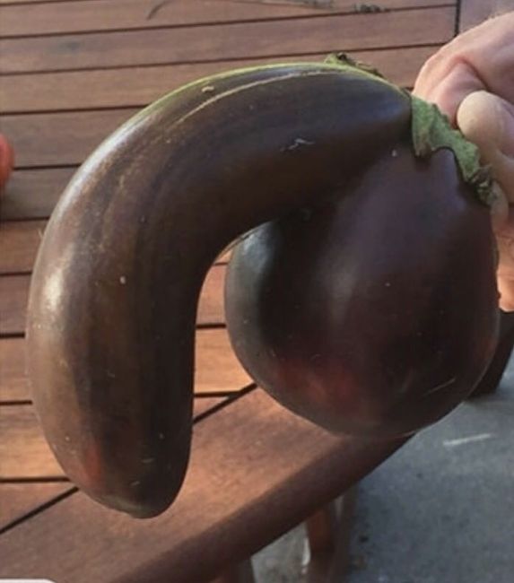NSFW/NWR: Veggie Peen!!!!