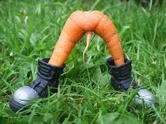 NSFW/NWR: Veggie Peen!!!!