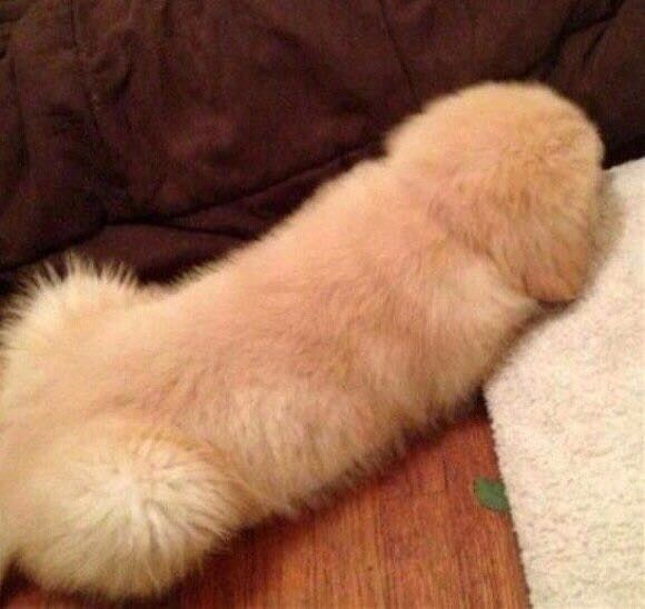 NSFW/NWR: Veggie Peen!!!!