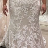 Busty Brides - 1