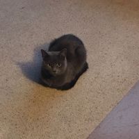 Nwr - Finday nights!