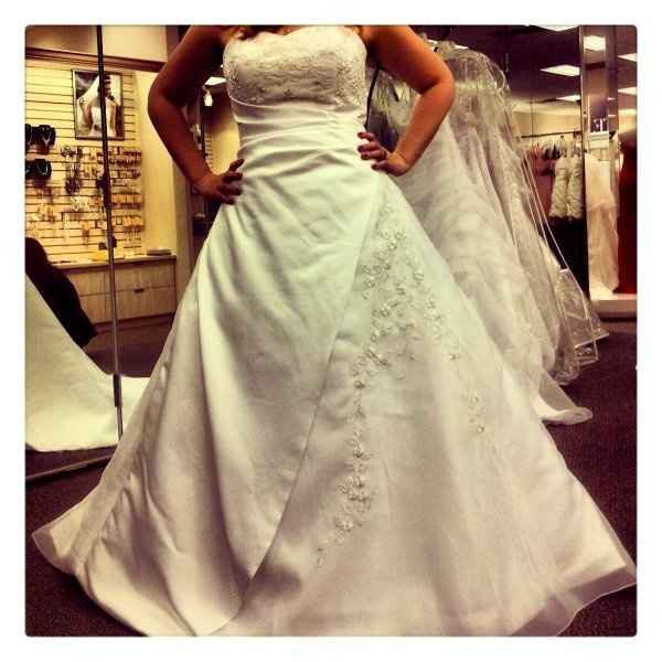 A wonderful DB experience (even after hearing all the horror stories!) (dress pic)