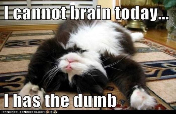 NWR: Funny things including ECARDS :)