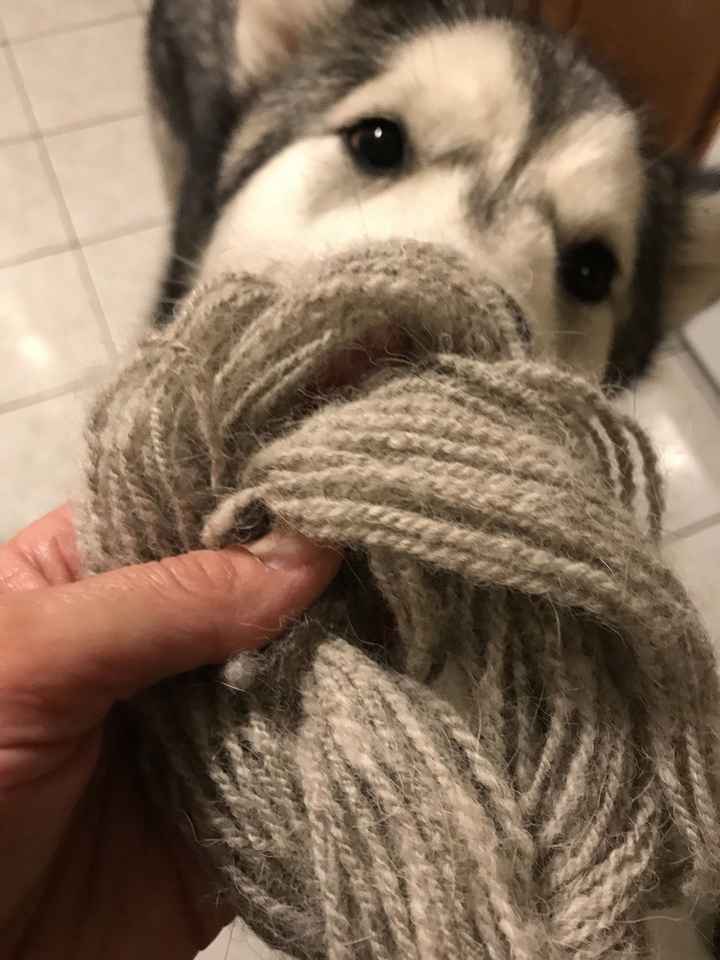 KWR- FH brought home the most precious gift today! Update- pillow is done! See comments.