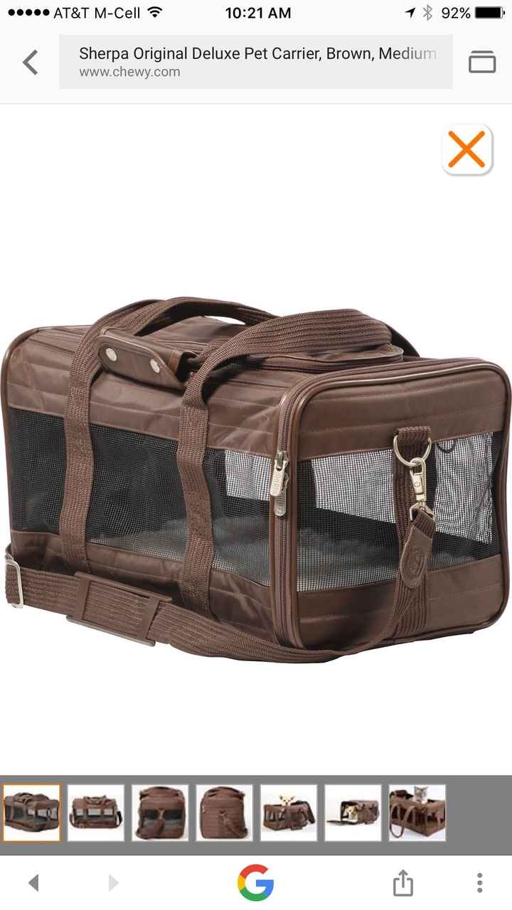 Calling creative people! Using a pet carrier as a card box?