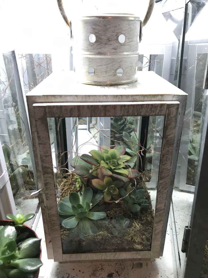 Table numbers and centerpieces