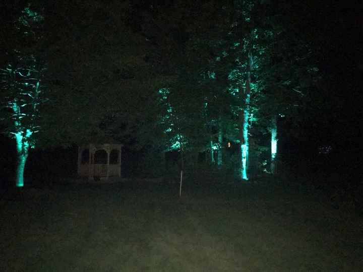 Anyone wondering about rentmywedding.com? They are fantastic!