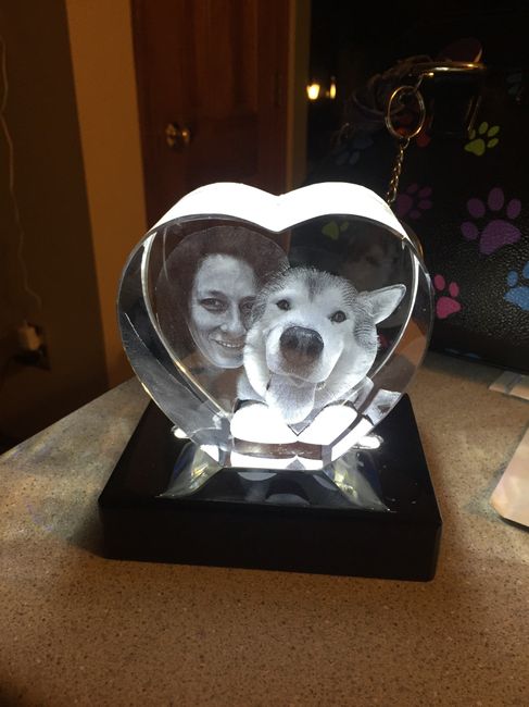 NWR-We just lost our family pet after 13 years.