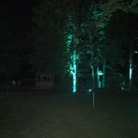 Anyone wondering about rentmywedding.com? They are fantastic!