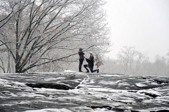 Engagement at Central Park 