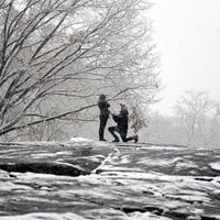 Engagement at Central Park 