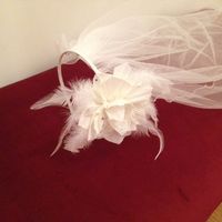 Dress and veil... question!